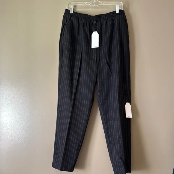 Universal Standard The Pinstripe Pants